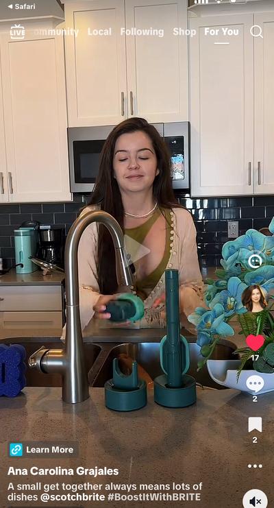 Ana in kitchen demonstrating Scotch-Brite dish scrubbers